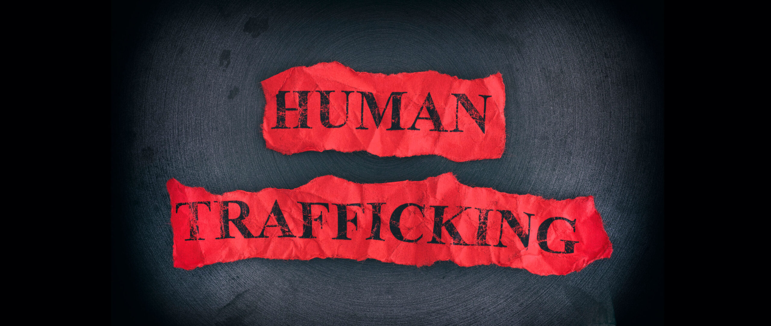 Human Trafficking Private Investigations